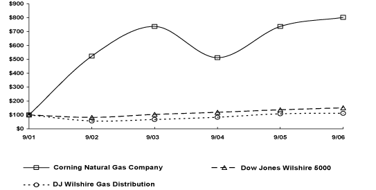 (PERFORMANCE GRAPH)